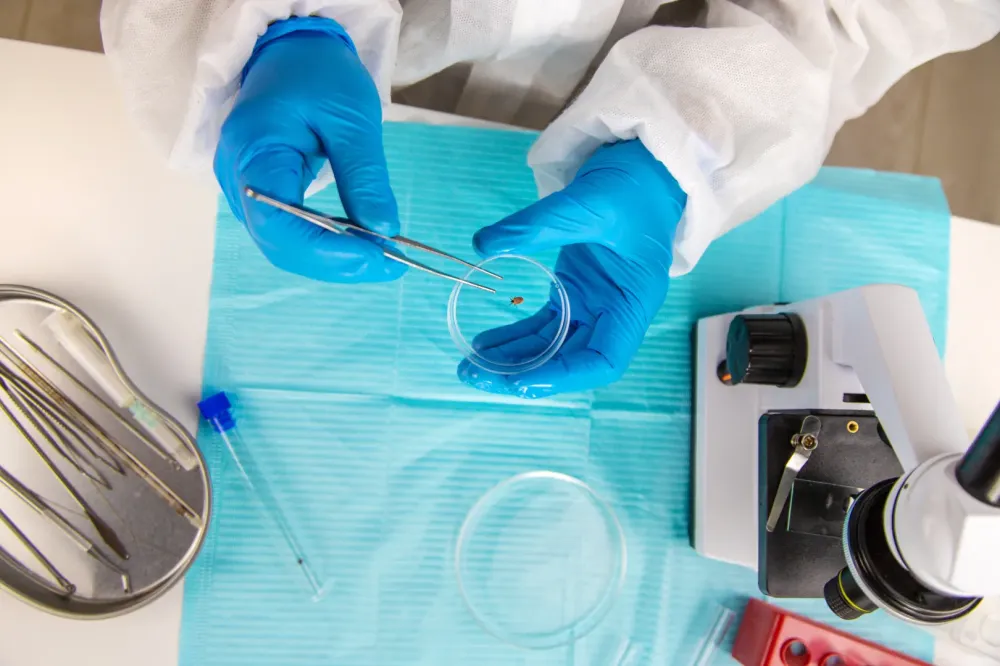 Laboratoire à Galgon